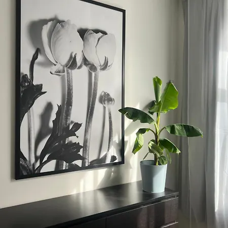 Sventer Apartament